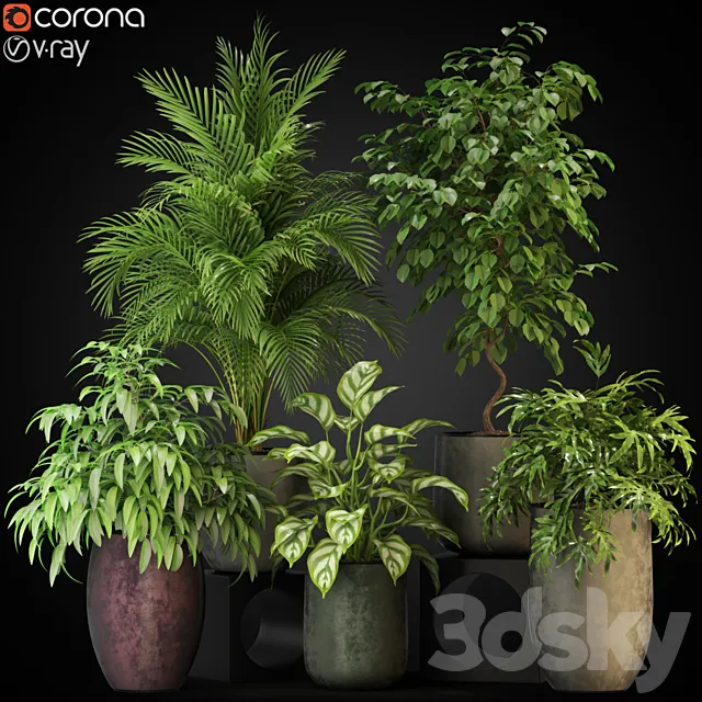 Plants collection 269 3DSMax File