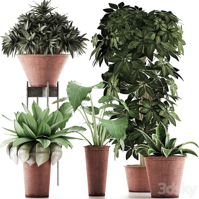 Plants Collection 35 3dsMax Model