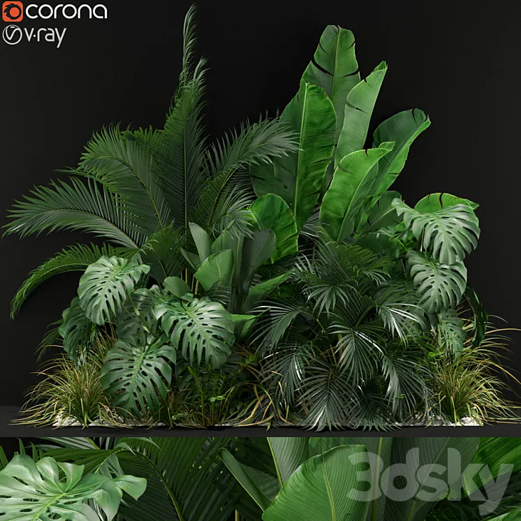 Plants collection 357 3DS Max