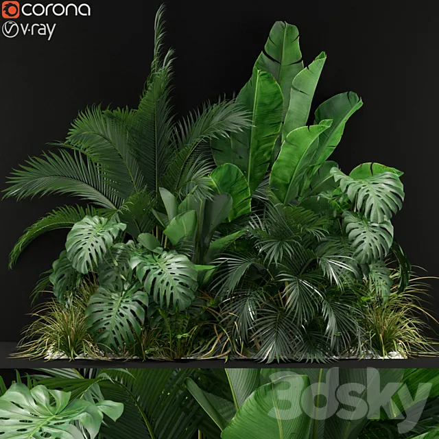 Plants collection 357 3DSMax File