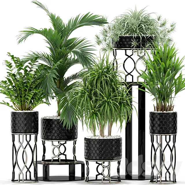 Plants collection 367 3DS Max Model