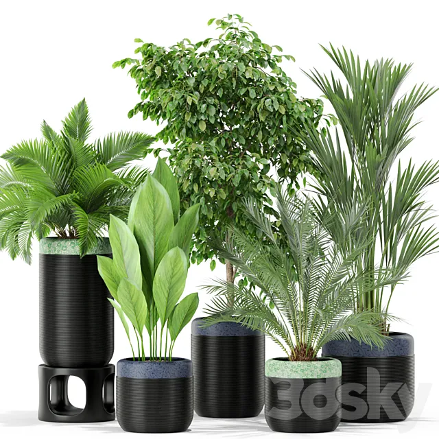 Plants collection 443 3ds Max