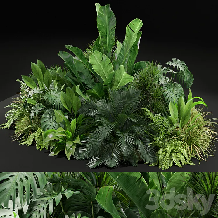Plants collection 445 3DS Max