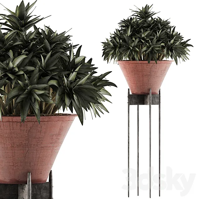 Plants Collection 49 3DS Max Model