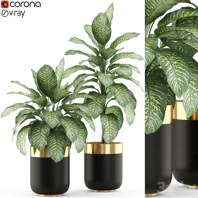 Plants collection 491 3dsMax Model