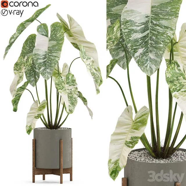 Plants collection 524 3dsMax Model