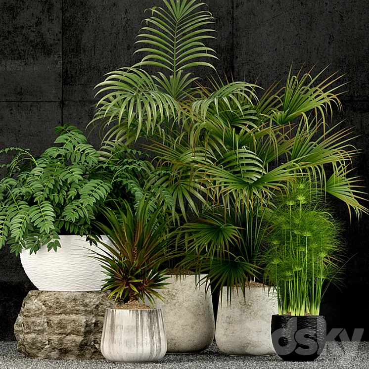 Plants collection 53 3DS Max