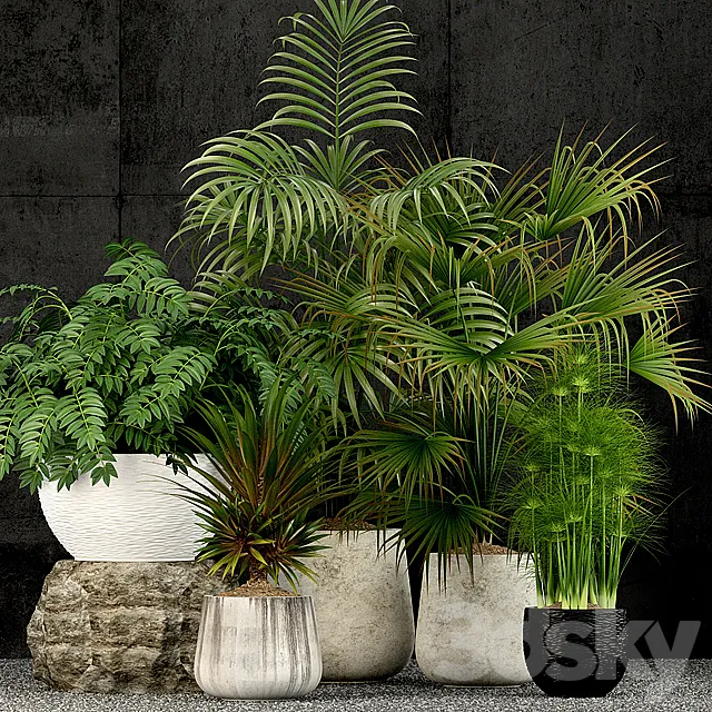 Plants collection 53 3DSMax File