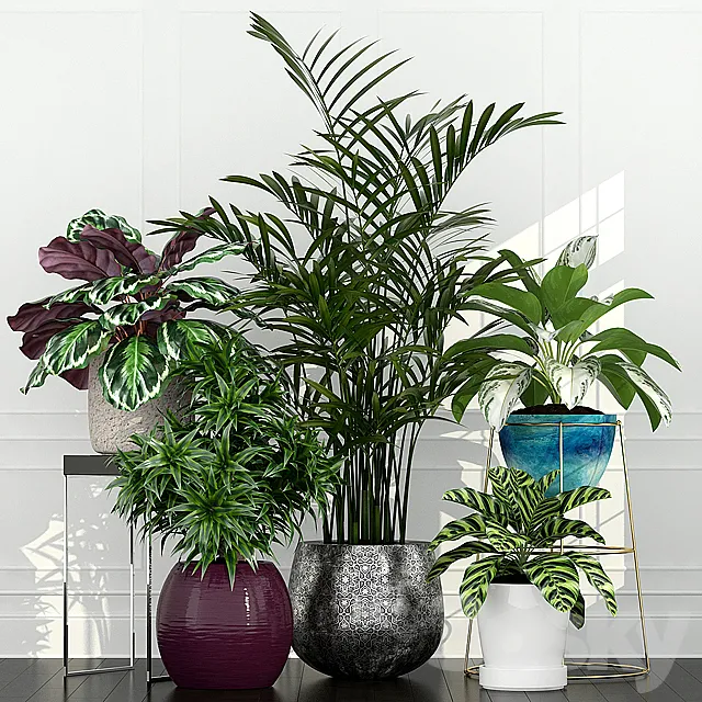 Plants collection 54 3DSMax File