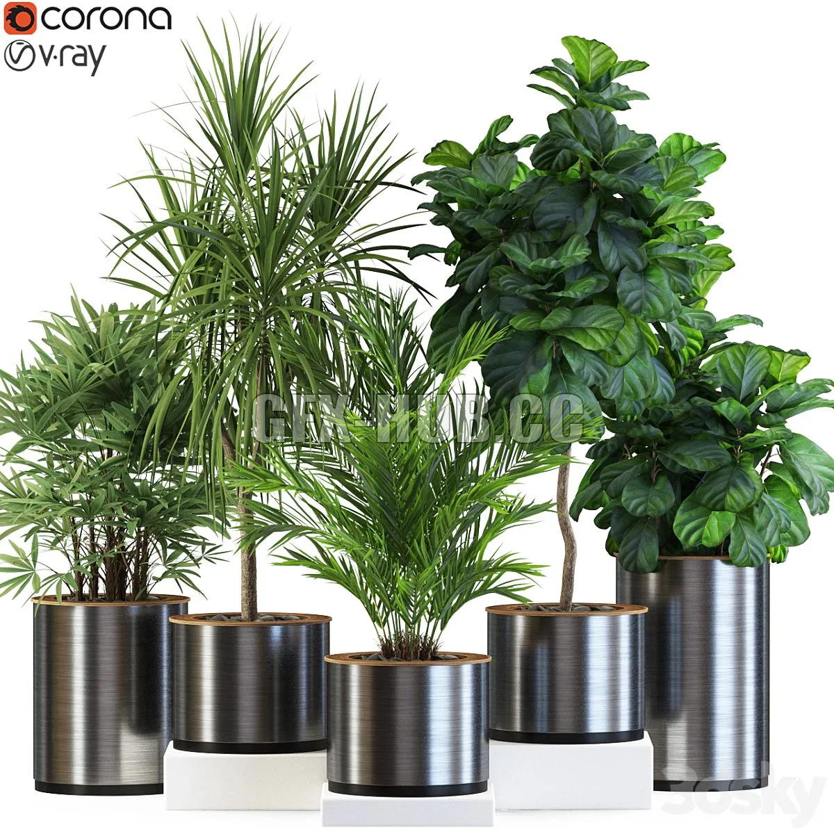 Plants collection 550 3dsMax Model