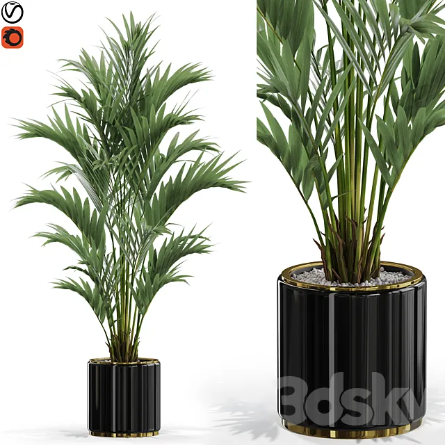Plants collection 560 3DSMax File