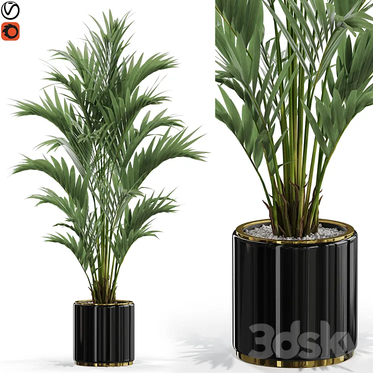 Plants collection 560 3DS Max Model