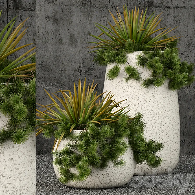 Plants collection 57 3DS Max