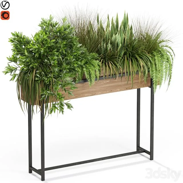 Plants collection 587 3dsMax Model