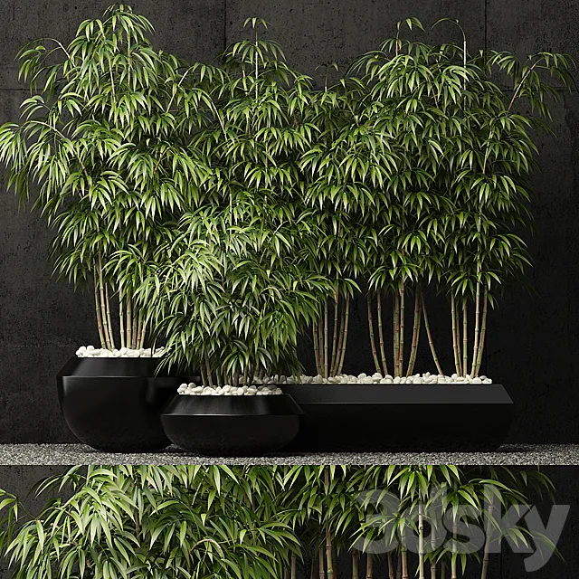 Plants collection 66 3ds Max