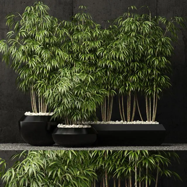Plants collection 66 3dsMax Model
