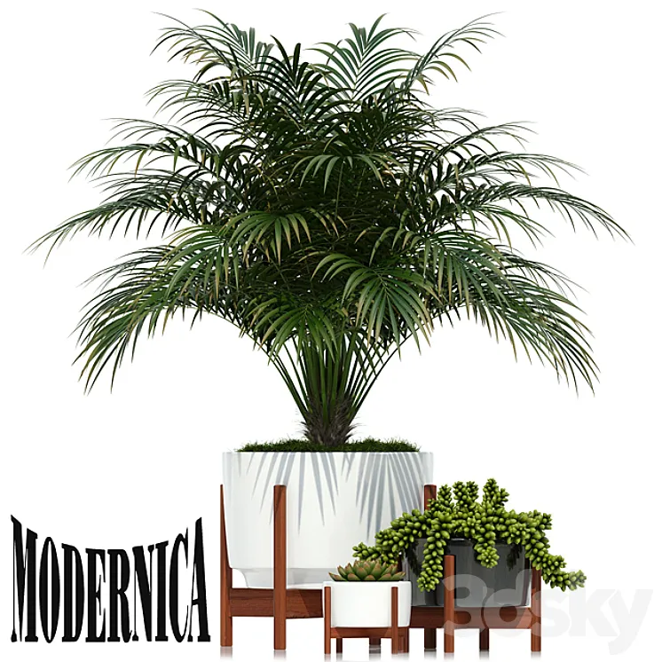 Plants collection 68 Modernica pots 3DS Max