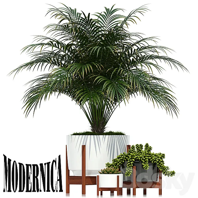 Plants collection 68 Modernica pots 3DSMax File