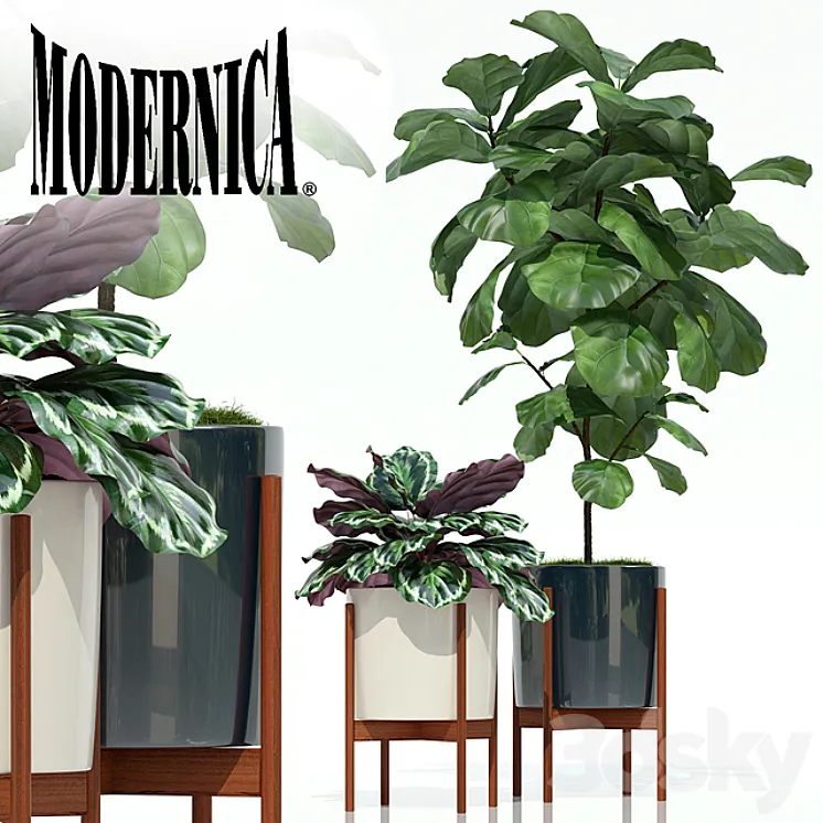 Plants collection 69 Modernica pots 3DS Max