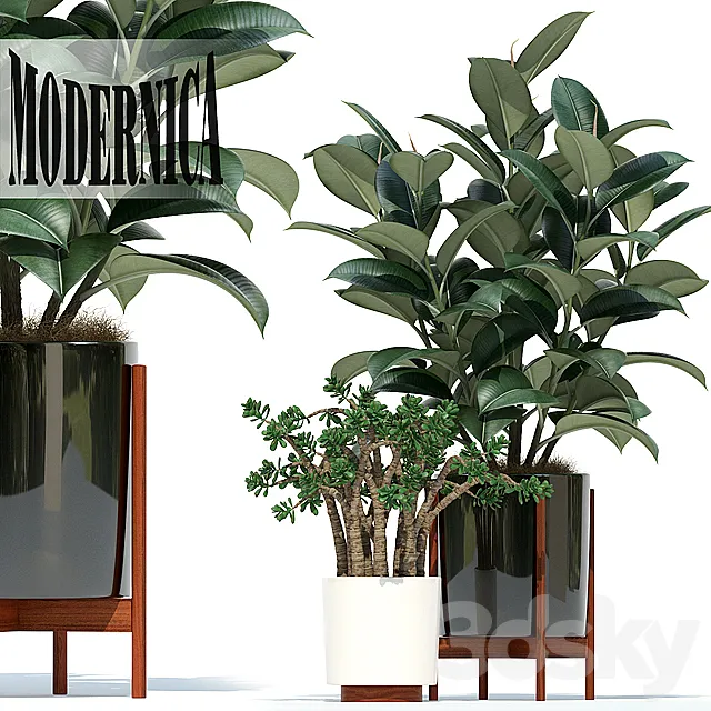 Plants collection 72 Modernica pots 3ds Max