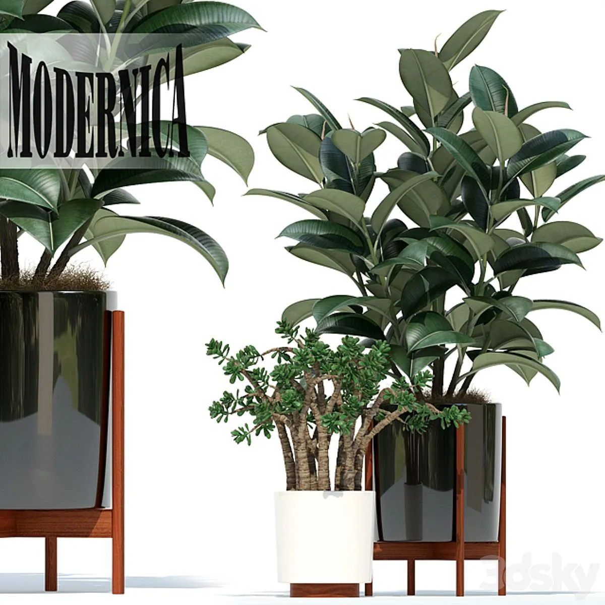 Plants collection 72 Modernica pots 3dsMax Model