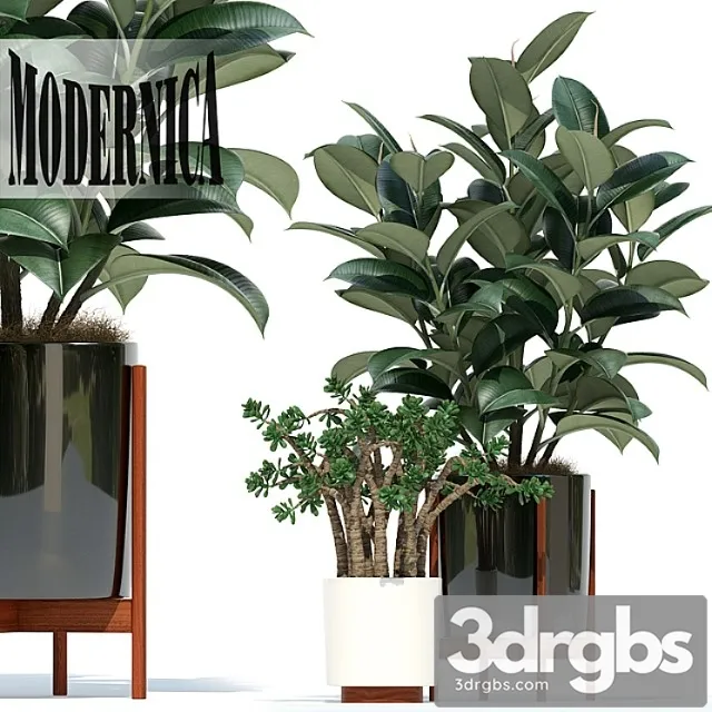 Plants collection 72 modernica pots