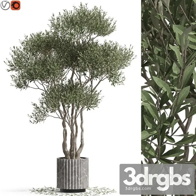Plants Collection 723 3dsmax Download