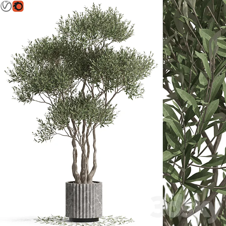 Plants collection 723 3DS Max Model