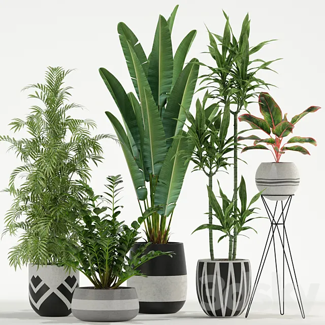 Plants collection 726 3ds Max