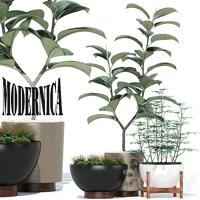 Plants collection 73 Modernica pots 3DSMax File