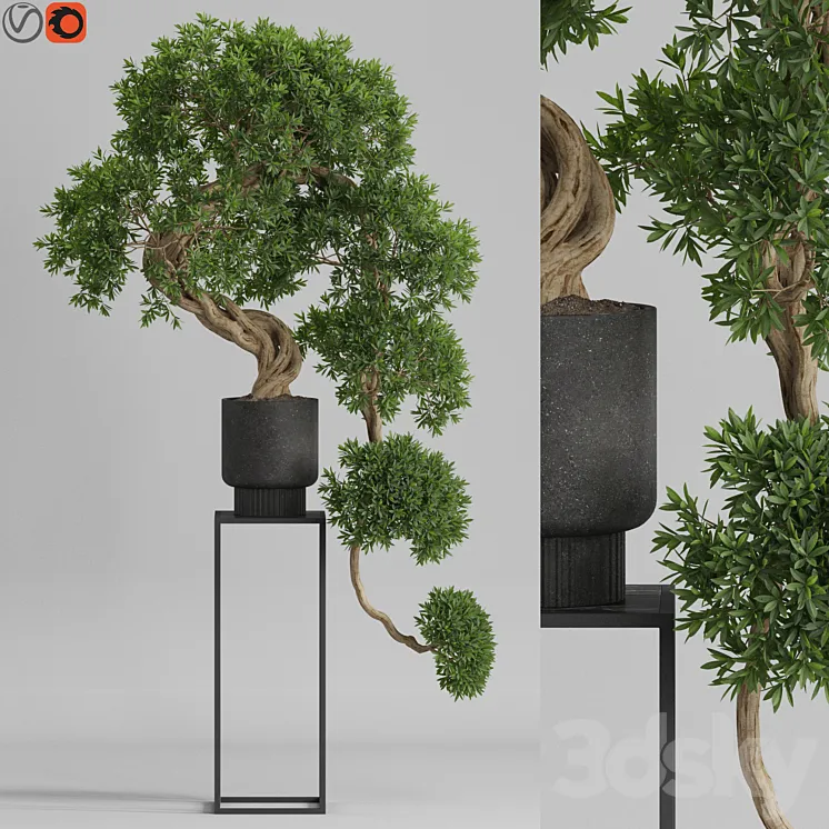 Plants collection 744 3DS Max