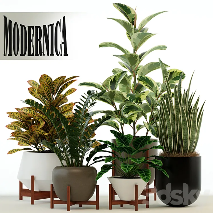 Plants collection 75 Modernica pots 3DS Max