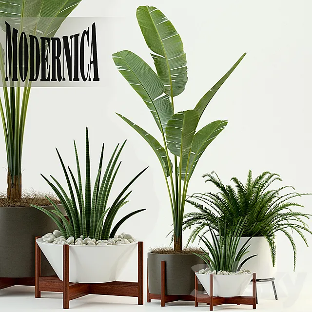 Plants collection 76 Modernica pots 3ds Max