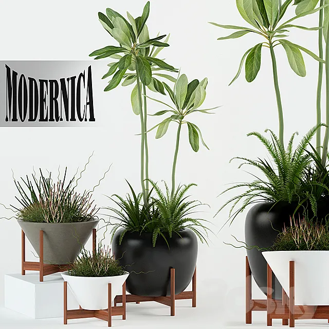 Plants collection 77 Modernica pots 3ds Max