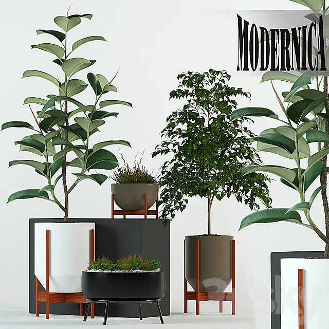 Plants collection 78 Modernica pots 3ds Max