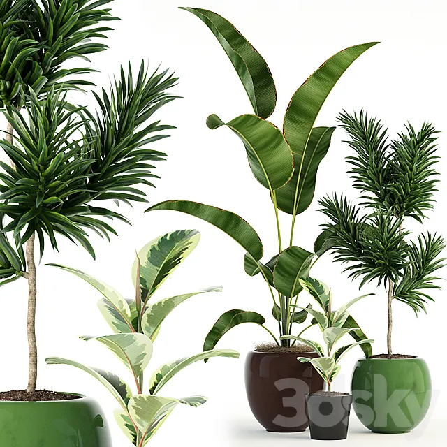 Plants collection 85 3DSMax File