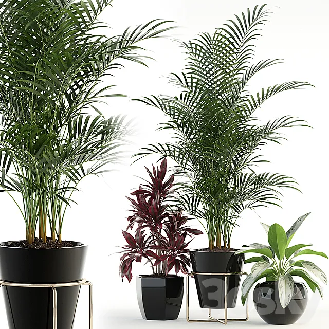 Plants collection 89 3DSMax File