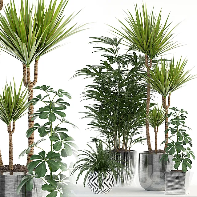 Plants collection 90 3DSMax File