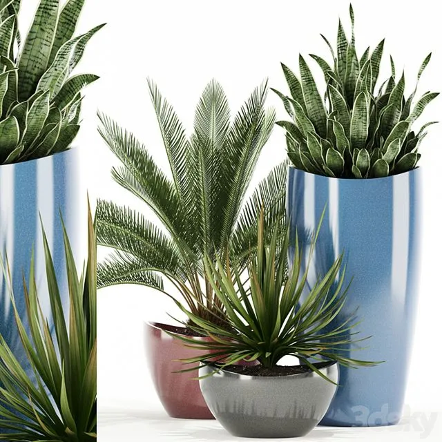 Plants collection 99 Awesomeplanters 3dsMax Model