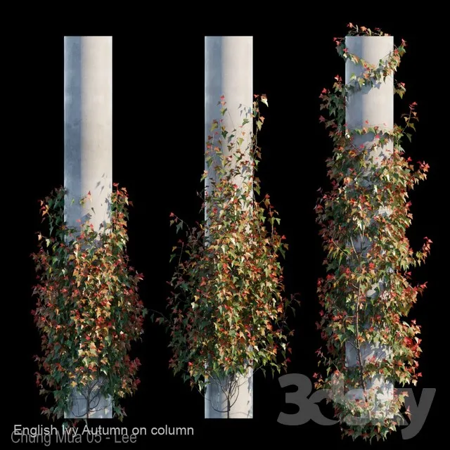 PLANTS – FITOWALL – 3D MODELS – 3DS MAX – FREE DOWNLOAD – 16542