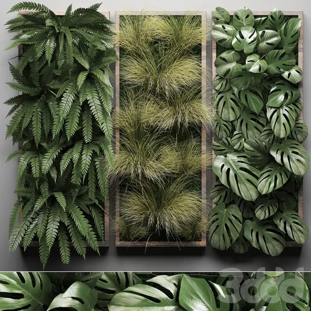 PLANTS – FITOWALL – 3D MODELS – 3DS MAX – FREE DOWNLOAD – 16551