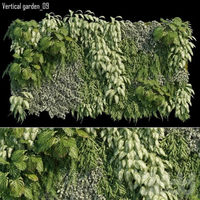 PLANTS – FITOWALL – 3D MODELS – 3DS MAX – FREE DOWNLOAD – 16562