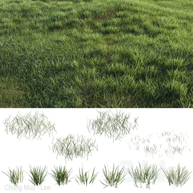 PLANTS – GRASS – 3D MODELS – 3DS MAX – FREE DOWNLOAD – 16571