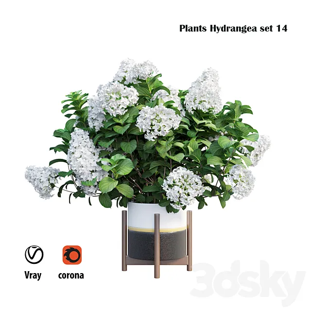 Plants Hydrangea set 14 3ds Max