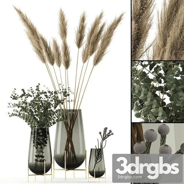 Plants in Echasse Vases 3dsmax Download