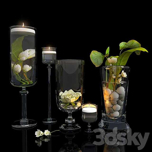 Plants in glass vases 3DSMax File