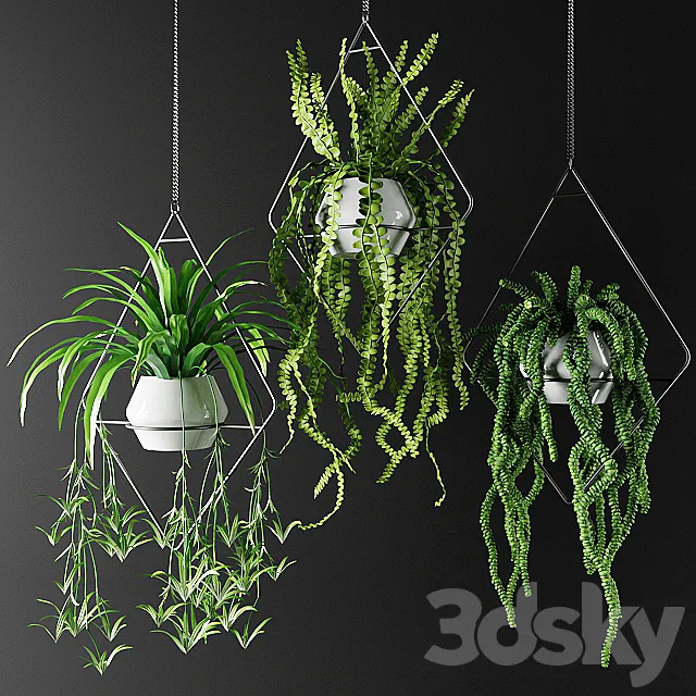 Plants in hanging flowerpots in diamonds | Plants in hanging flowerpots in diamonds 3ds Max