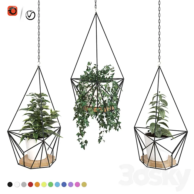 Plants in hanging planters ARCHPOLE Shuttle2 3ds Max