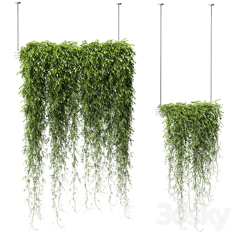 Plants in Hanging Planters v2. 2 models 3DS Max