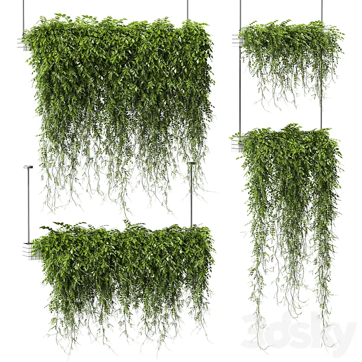 Plants in hanging pots v3. 4 models 3DS Max